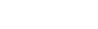 SnowyBlack